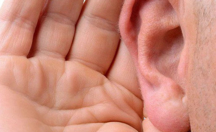 Tai trái và tai phải, tai nào nghe rõ hơn?