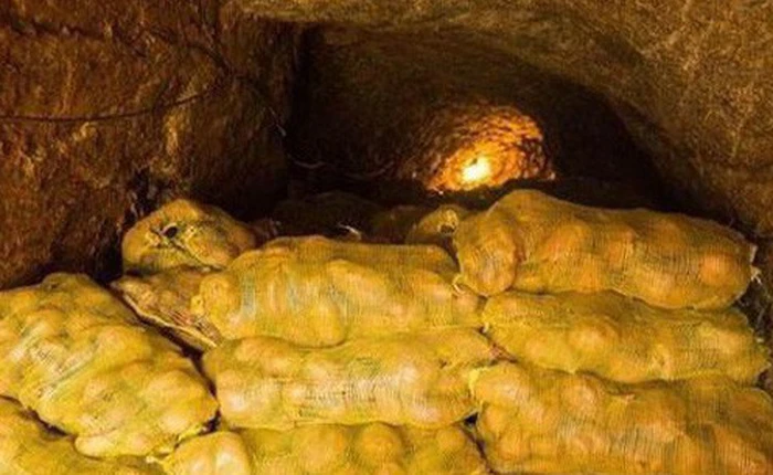 Ngồi nghỉ ở hầm khoai tây, lão nông phát hiện ra cả kho báu mà bấy lâu nay không biết