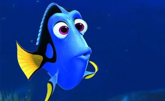 Hay quên chẳng có gì là xấu, thậm chí nó còn giúp chúng ta thông minh hơn