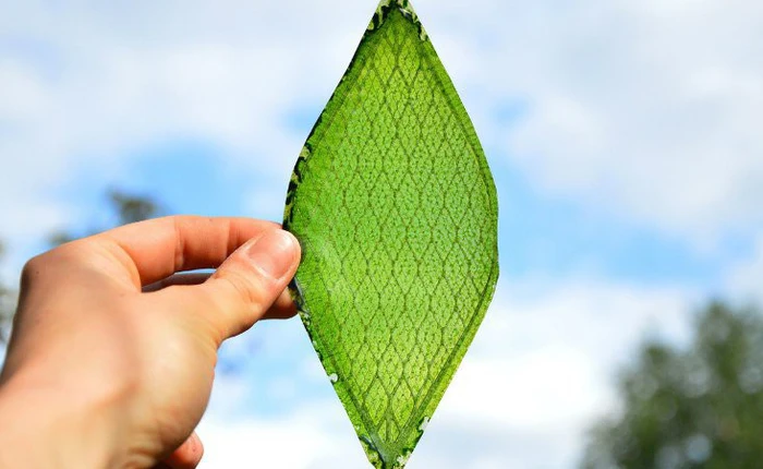 Từ áo giáp vô hình đến truyền năng lượng không dây: 10 công nghệ có thực mà "ảo" như trong phim