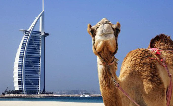 Dubai sẽ có chính phủ vận hành bằng blockchain đầu tiên trên thế giới?