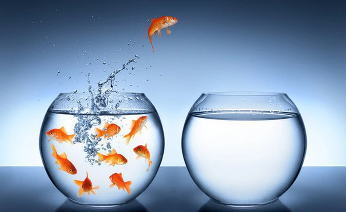 Dù 20 hay 80, dù giàu hay nghèo, ai trong chúng ta cũng đang hàng ngày đối mặt với 7 thách thức cuộc sống sau