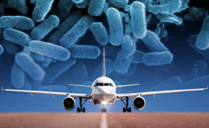 Có những người mang siêu vi khuẩn kháng tất cả kháng sinh về nhà, từ chuyến du lịch "cuối cùng" của họ