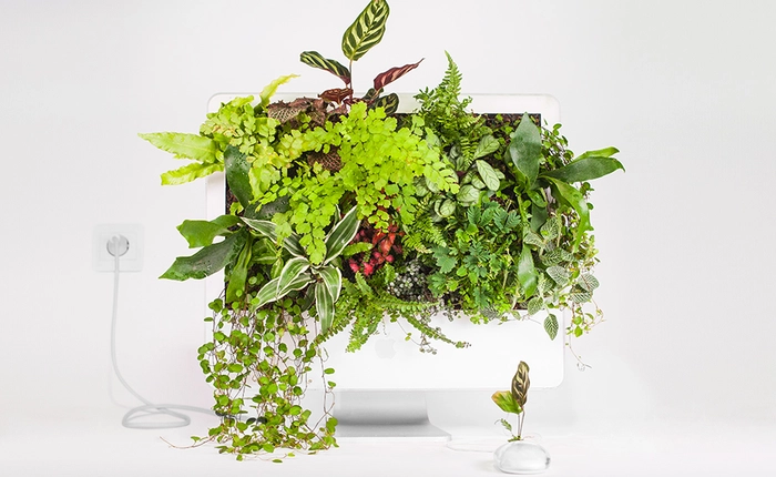 Biến đổi không khí thành thức ăn - Công nghệ của tương lai đã bước đầu cập bến nhân loại