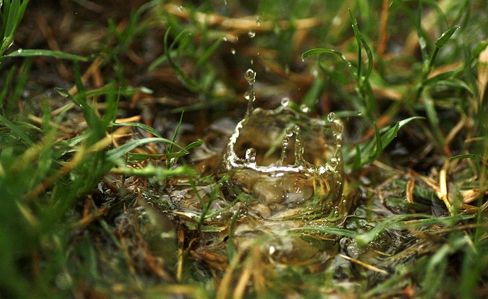 Những cơn mưa phóng thích 800.000 nghìn tỷ vi khuẩn mặt đất vào không khí, nhiều gần bằng số sao trong vũ trụ chúng ta biết