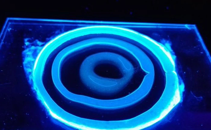 Máy in 3D bằng "mực sống" có thể giúp thay thế da người trong tương lai