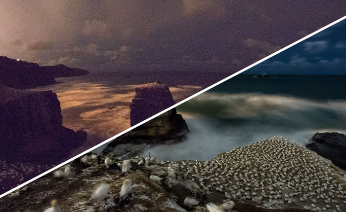 Đây là lý do vì sao máy ảnh có dải ISO siêu cao vô cùng quan trọng