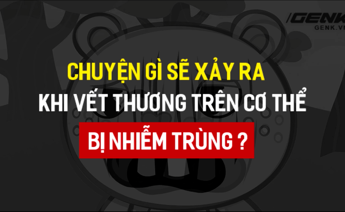 Xem xong clip này, bạn sẽ thấy hệ miễn dịch của chúng ta vi diệu tới mức nào!