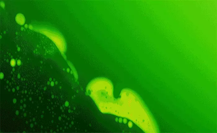 Mời xem đoạn video về quá trình hình thành 4 mùa qua ống kính hiển vi