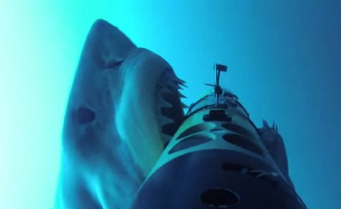 Năm 2014 cáp AAG trục trặc 2 lần, năm 2015 là 3 lần và 2016 là 4 lần, năm nay mới là lần đầu tiên