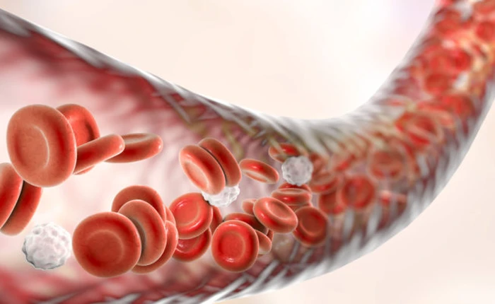 SoftBank và nhiều công ty khác đầu tư hàng trăm triệu USD vào công nghệ xét nghiệm ung thư bằng máu