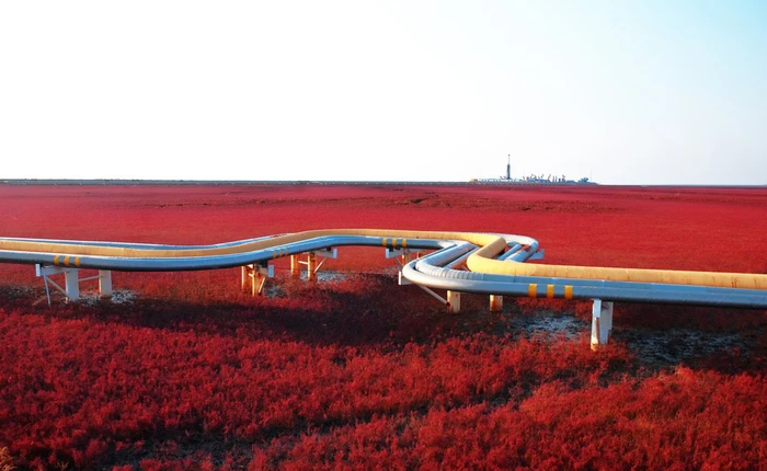 17 bức ảnh đẹp đến "nghẹt thở" khiến bạn không tin rằng chúng được chụp ngay trên Trái Đất này