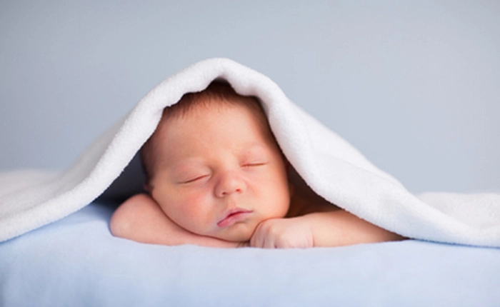 Sau bao năm tranh cãi, các nhà khoa học mới hiểu chúng ta ngủ để làm gì, hóa ra là để quên