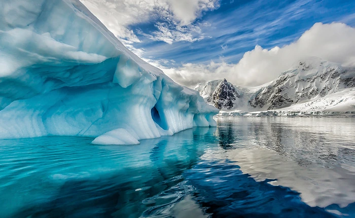 Hãy lắng nghe đoạn âm thanh này, đây là tiếng vọng đau đớn của Mẹ Thiên Nhiên về sự biến đổi khí hậu