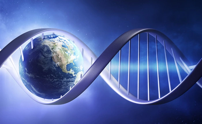 Các nhà khoa học vừa tìm ra bằng chứng về sự sống cổ xưa nhất trên Trái Đất, từ hơn 4 tỷ năm trước