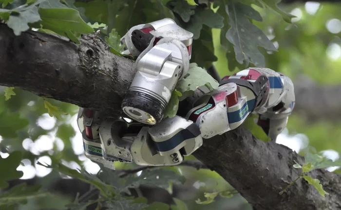 6 ví dụ minh họa cho thấy robot không còn là những thứ cứng ngắc, di chuyển thiếu tự nhiên như bạn nghĩ