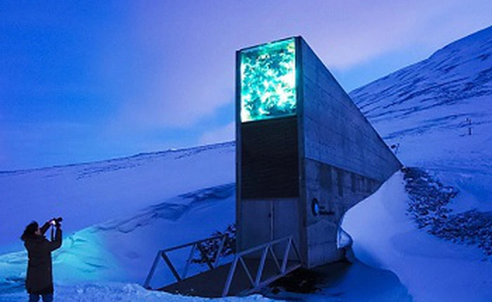 Hầm tận thế Svalbard ở Bắc Cực đã bị băng tan gây ngập lụt và bịt kín lối vào