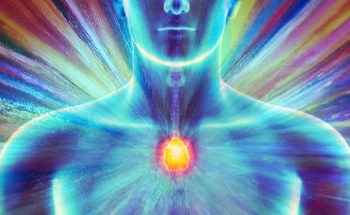 Các nhà khoa học muốn nâng cấp tuyến ức cho con người, có thể bơm ra tế bào T chống ung thư