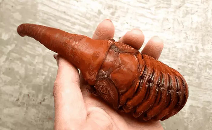 Nhìn sinh vật có thật này mà xem, chẳng khác gì Zerg trong StarCraft