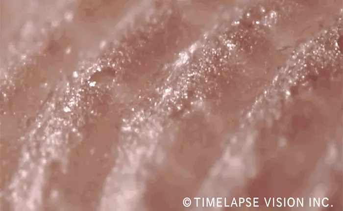 Đoạn video này sẽ cho bạn biết lý do vì sao mình luôn để lại vân tay khi chạm vào mọi thứ