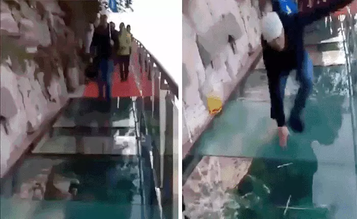 Đi trên cầu bằng kính mà gặp cảnh này chắc chắn người có trái tim can đảm nhất cũng phải dừng vài nhịp đập