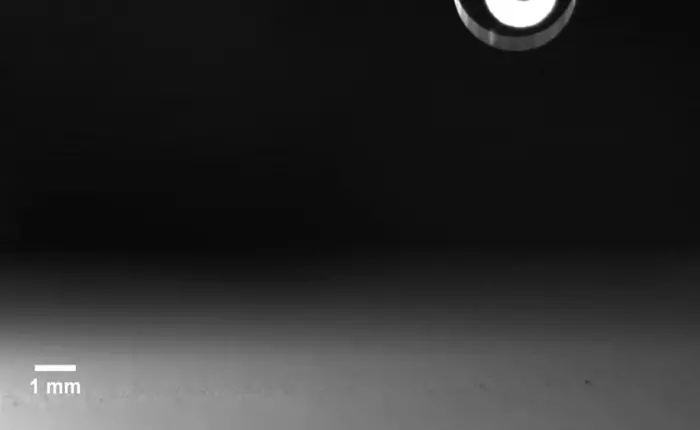 Mùi không khí sau khi mưa thật tuyệt, nhưng nó cũng ẩn chứa nhiều nguy hiểm