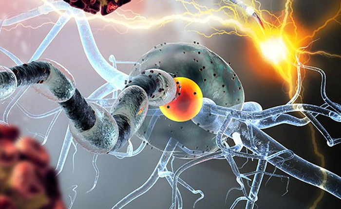 Các nhà khoa học chứng minh virus Zika thực sự có tác dụng điều trị ung thư não