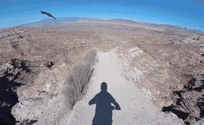 Nghẹt thở với màn biểu diễn lái xe đạp xuống núi thắng giải RedBull Rampage 2017