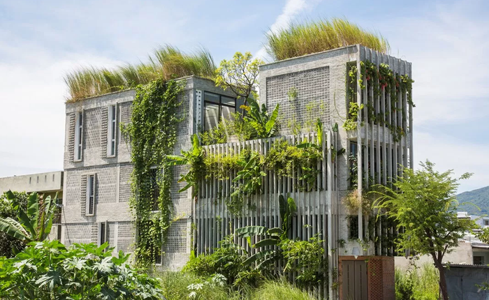 Trông xa tưởng nhà bỏ hoang, lại gần mới biết là văn phòng có kiến trúc thú vị nhất nhì Đà nẵng