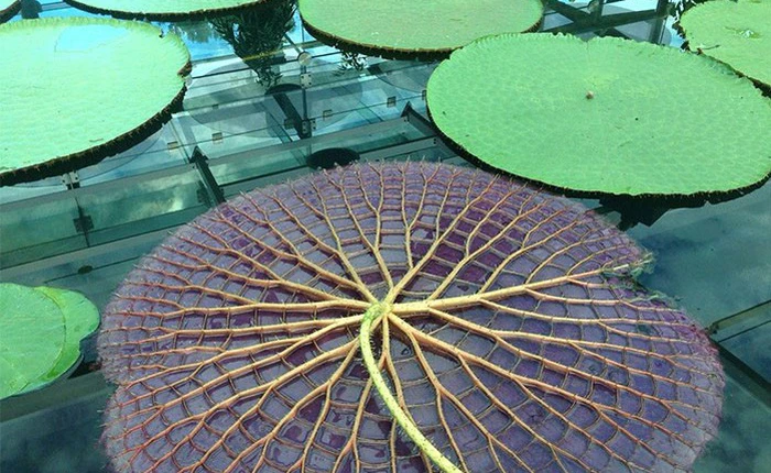 Những hình ảnh hiếm thấy có thể thay đổi hoàn toàn cách bạn nhìn nhận thế giới này