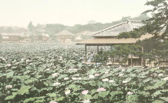 Tokyo từng yên bình đến lạ thường trước khi trở thành đô thị sầm uất nhất thế giới
