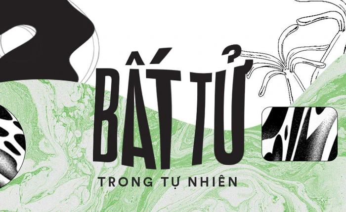 Thiên nhiên kì diệu: Đây là những sinh vật khiến bạn tin vào sự bất tử