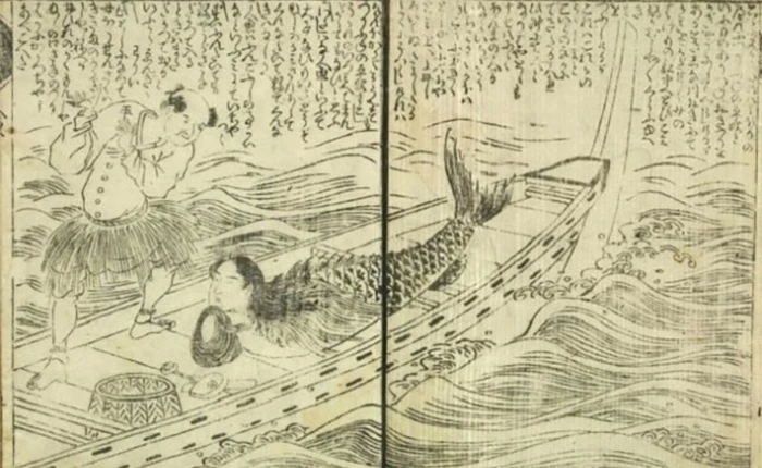 Bí ẩn thế giới: Sự thật xoay quanh câu chuyện về "Người Cá" và những truyền thuyết ít người biết tới (P2)