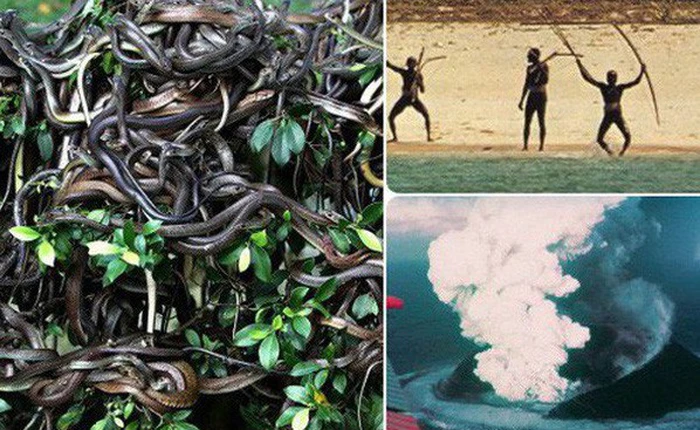 4 địa điểm hấp dẫn nhất hành tinh nhưng cấm tiệt con người được đặt chân đến