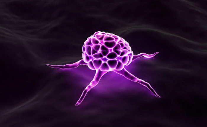 Nghiên cứu: Xạ trị ung thư sẽ hiệu quả hơn nếu kết hợp một loại thuốc giãn cơ 150 năm tuổi