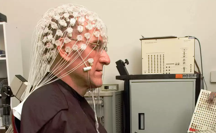 Các nhà nghiên cứu liên kết 3 bộ não người lại để chơi xếp hình, thành công với độ chính xác lên tới 81,25%