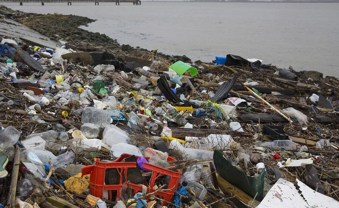 Nghị viện Châu Âu đề xuất cấm hoàn toàn đồ nhựa dùng một lần vào năm 2021