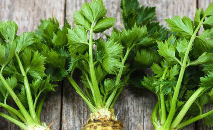 Sự thật ít ai ngờ về cây cần tây: Bổ dưỡng nhưng lại là loài hoa... tang tóc xưa kia