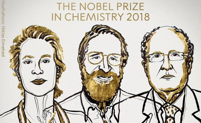 [Giải Nobel 2018] Nghiên cứu chế tạo enzyme mới giành giải Nobel Hóa học