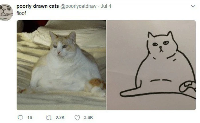 Vẽ mèo nguệch ngoạc khó cưỡng, trang Twitter thu hút 188.000 followers và kiếm được cả đống tiền