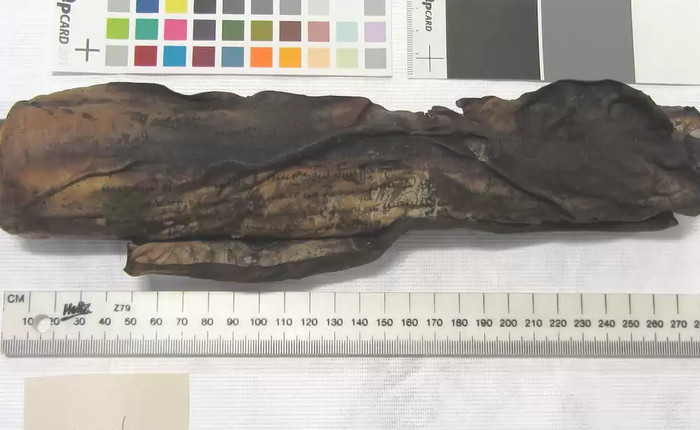 Sử dụng máy chụp cắt lớp, các nhà nghiên cứu đọc được cả văn tự cổ 500 năm đã bị cháy sém