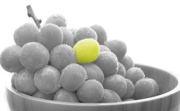 Nước Nhật bình yên tới mức cảnh sát sẵn sàng đi điều tra vụ mất trộm 1 quả nho