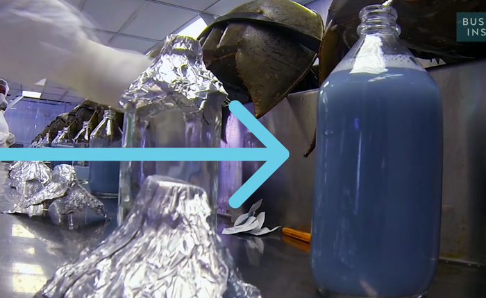 Bạn có tin cái bình nước màu xanh này có giá tới... 300 triệu đồng/lít