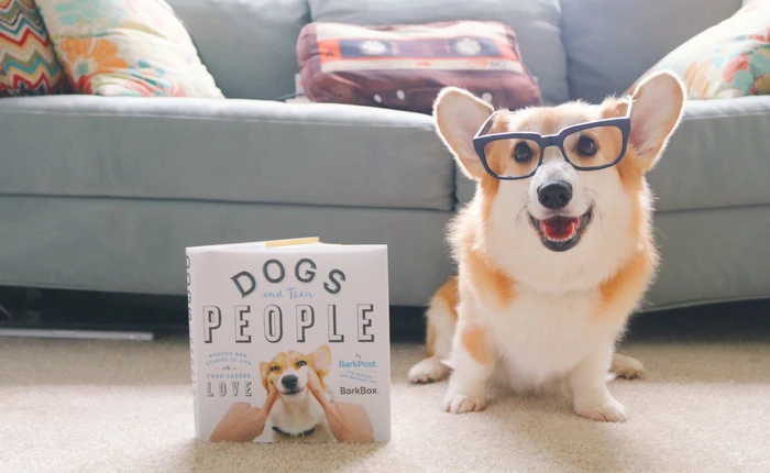 Chào năm Chó, hãy tìm hiểu những sự thật cực bất ngờ về giống loài "bạn thân" của con người này