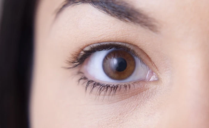 AI của Google có thể chẩn đoán tình trạng tim mạch bằng cách quét... mắt của bệnh nhân