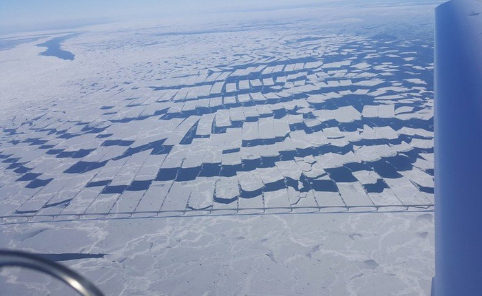 Thiết kế thông minh của cây cầu này có thể cắt băng thành những dải chữ nhật khổng lồ rộng 250m