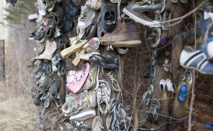 Khu rừng bí ẩn ở Canada: Hàng trăm đôi sneakers bị đóng đinh lên cây, không ai biết lý do vì sao