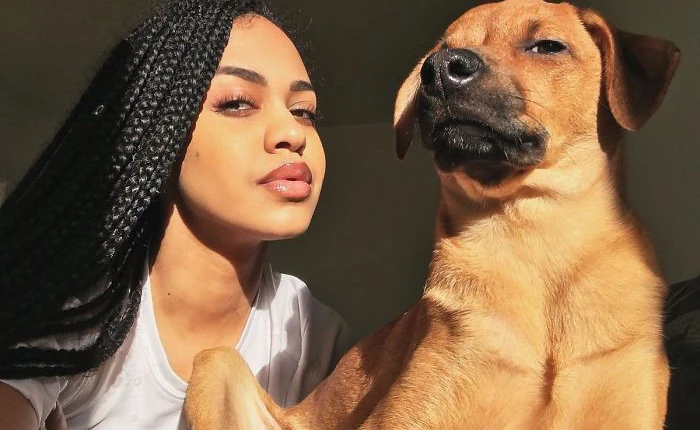 Trào lưu "chủ nào chó nấy" bất ngờ gây sốt trên Twitter vì quá dễ thương