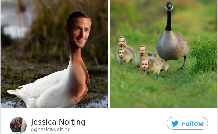 [Vui] Xem ngay để hiểu thế nào là: "Có mỗi cái việc Google mà cũng không xong"