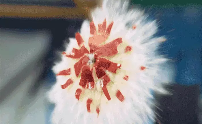 Chỉ là trái cây thôi mà khi va vào nhau với tốc độ cao có thể tạo ra những cảnh ấn tượng thế này cơ đấy